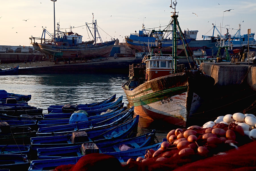  Fishing harbour and shipyard of Essaouira   Morocco